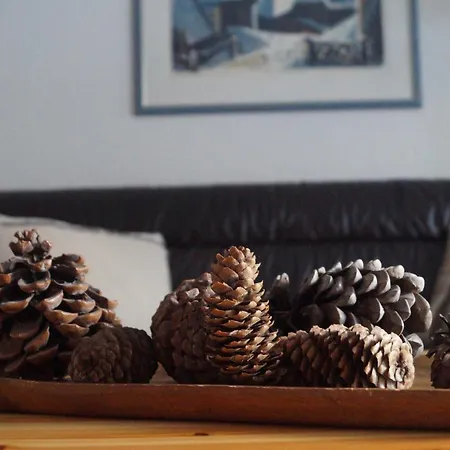 Ferienapartment アパート ダヴォス・プラッツ